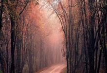 星空体育：网传蹭奥运会热度？谷爱凌直面质疑，霸气回应央视新闻客户端.