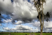 星空体育：费城76人遭淘汰！独行侠或成太阳队噩梦？.